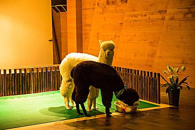 3DM速报：Steam周销榜《失落的方舟》占五席 卡普空神秘页面上线